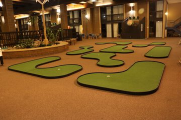 Mini-golf