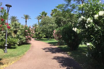 Park view