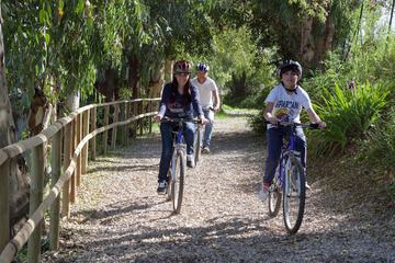 Bicycling