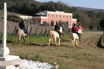 Horseback riding