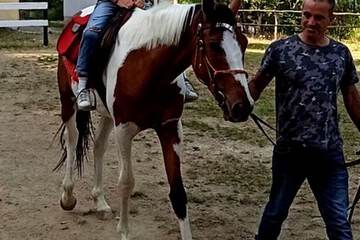 Horseback riding