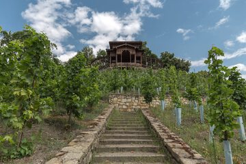 Winery