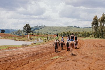Ecotours