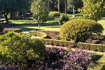 Photo 46