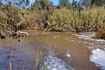 Photo 30
