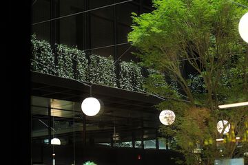 Courtyard