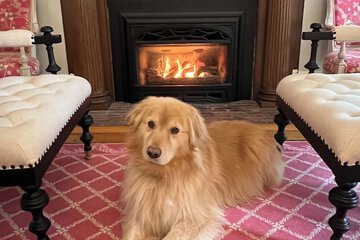 Pet-friendly amenities