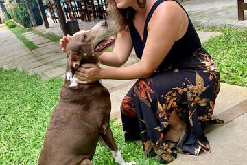 Pet-friendly
