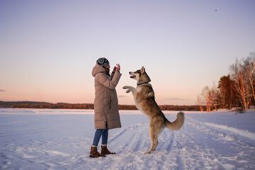 Pet-friendly