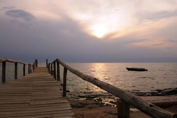 Dock