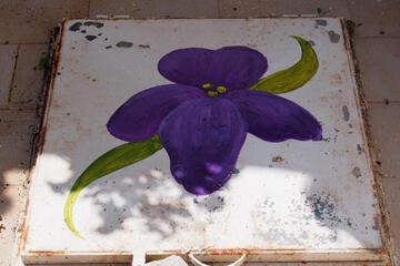Photo 42