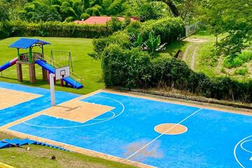 Basketball court