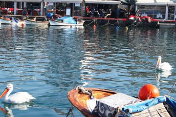 Dock