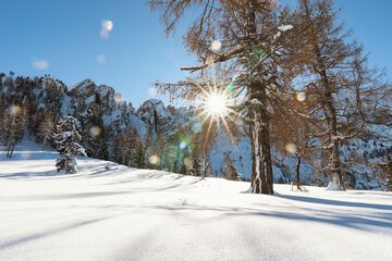 Snowshoeing