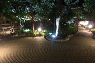 Photo 43