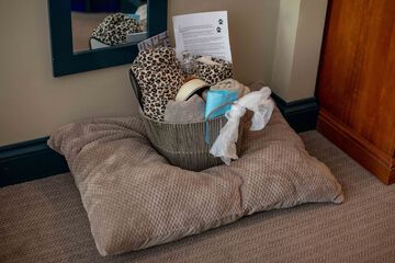 Pet-friendly amenities