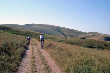 Bicycling