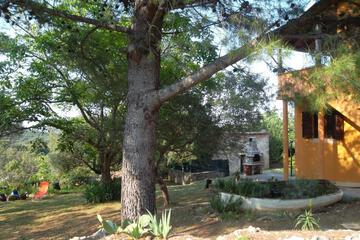 Photo 34