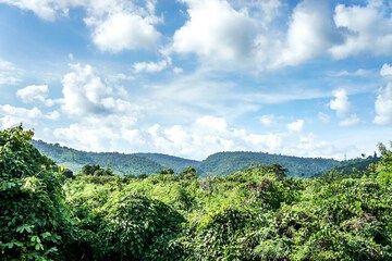 Mountain view
