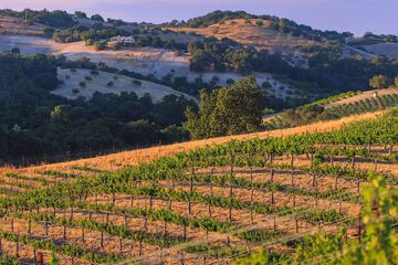 Hotel View 134 of 143