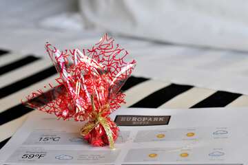 Room amenity