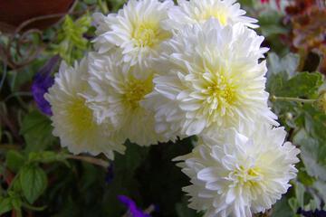 Photo 66
