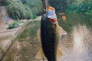 Fishing