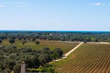 Land view from property