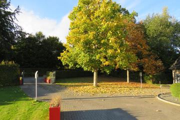 Photo 35
