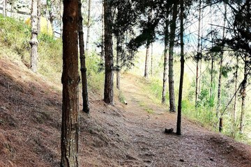 Hiking