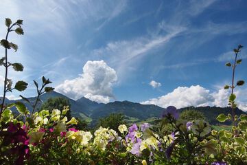 Mountain view