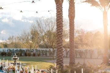 Outdoor wedding area