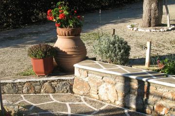 Photo 49