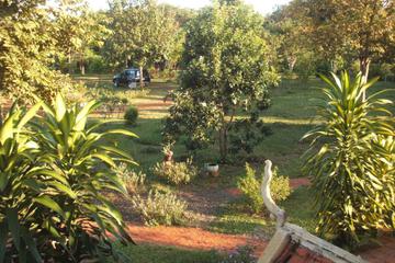 Photo 29