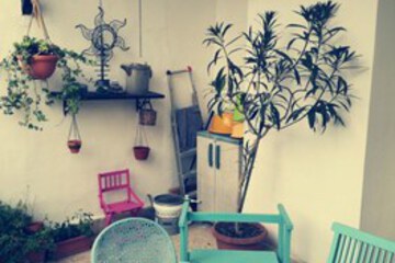 Terrace or Patio