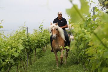 Horseback riding