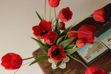 Photo 52