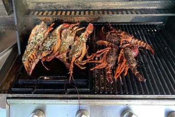 BBQ/picnic area