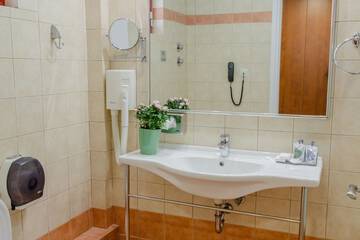 Bathroom sink