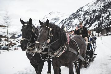 Horseback riding