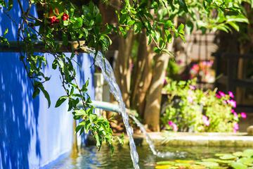Fountain