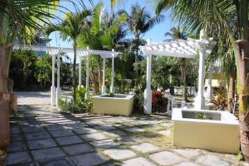 Terrace or Patio