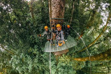 Ziplining