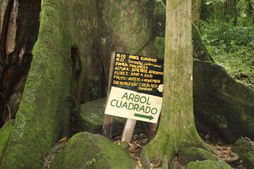 Ecotours