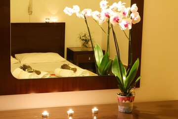 Room amenity