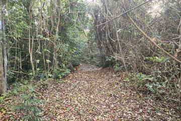 Hiking