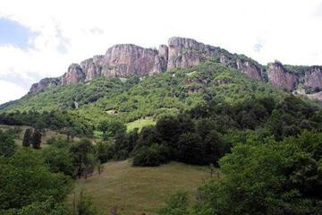 Photo 33