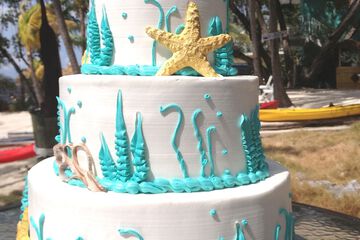 Outdoor wedding area