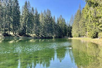 Natural pool