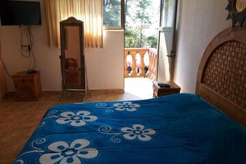 Photo 31